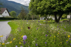 Stimmungsbild aus der fiktiven Gemeinde Musterdorf